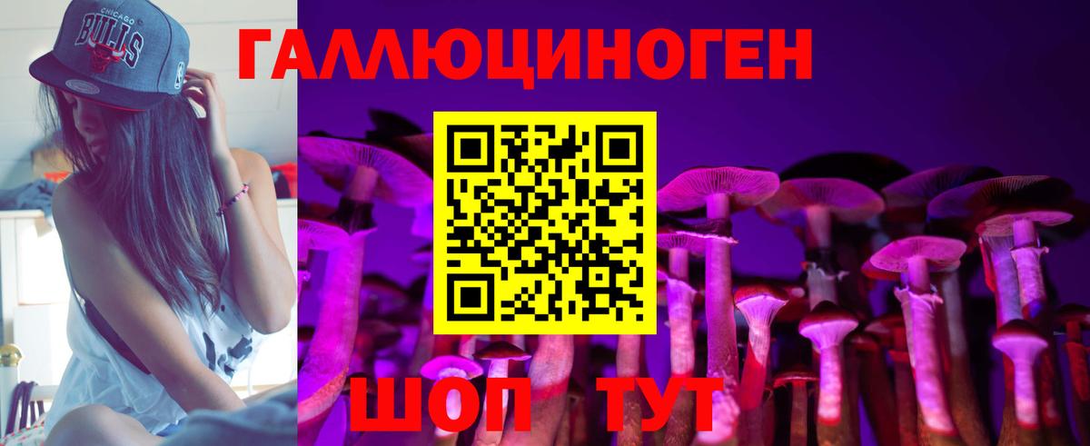 Кизляр  Псилоцибиновые грибы мухоморы  Галлюциногенные грибы Psilocybe  Вход с VPN 